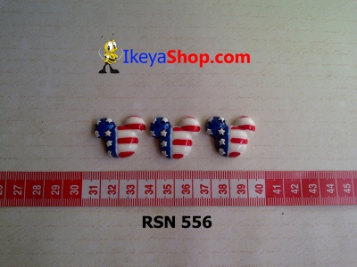 rsn 556  large2